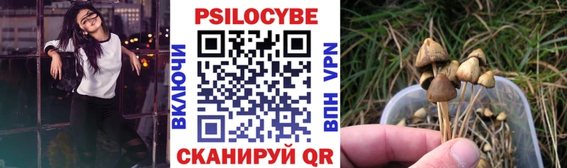 hydra онион  Поворино  Псилоцибиновые грибы Psilocybe 